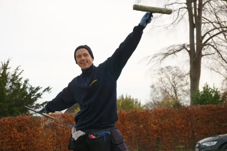 vinduespudser sjælland